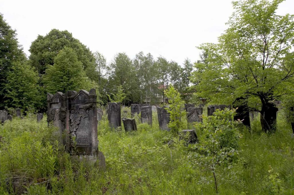 Prace archeologiczne na cmentarzu w Bielsku Podlaskim